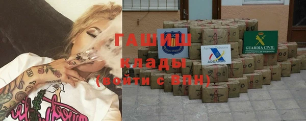 сатива Беслан