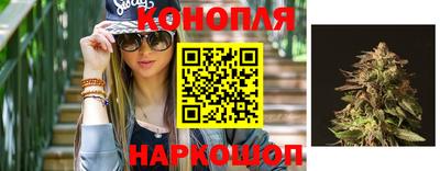 шишки Балаково