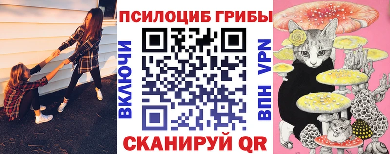 магазин    Воркута  Псилоцибиновые грибы мицелий 