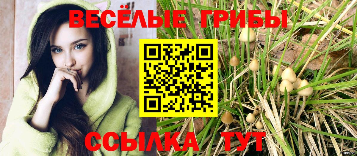 NBOMe Воркута