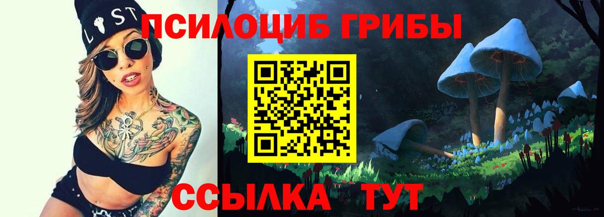 Галлюциногенные грибы GOLDEN TEACHER  Вход с VPN  Воркута 